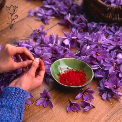 zafferano italiano vs. iraniano italian vs iranian saffron